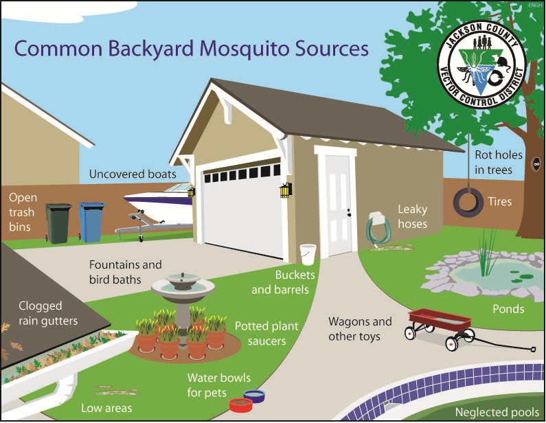 Mosquito-Proofing your Backyard