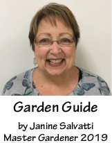 The Garden Checklist for July