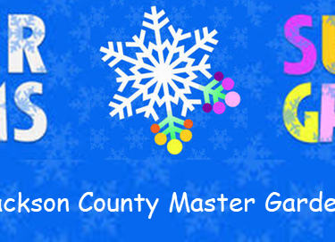 JCMGA Winter Dreams Summer Gardens 2025